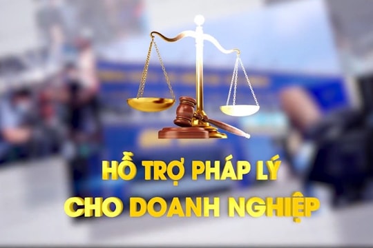Đà Nẵng triển khai kế hoạch hỗ trợ pháp lý cho doanh nghiệp nhỏ và vừa