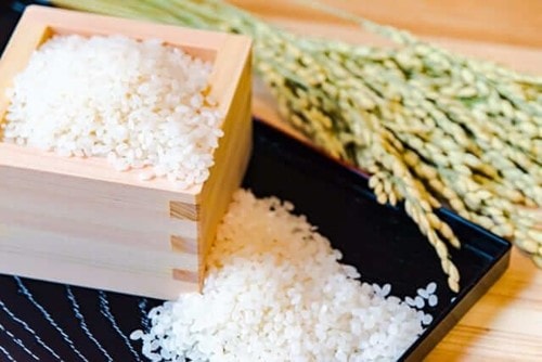 Xuất khẩu gạo Việt Nam: Cước vận tải tăng gần gấp đôi, giá trị kim ngạch giảm 8,7%