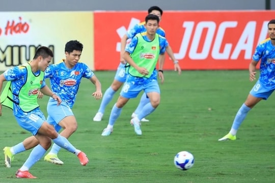 ĐT Việt Nam áp sát Top 100 FIFA: Bước ngoặt chiến lược cho tham vọng châu lục