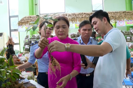 Quy chế quản lý, sử dụng chỉ dẫn địa lý “Ngọc Linh” cho sản phẩm sâm củ