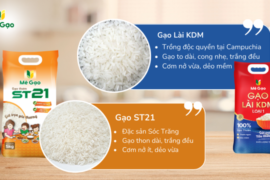So sánh đặc điểm và giá trị dinh dưỡng giữa gạo ST21 và gạo Lài KDM