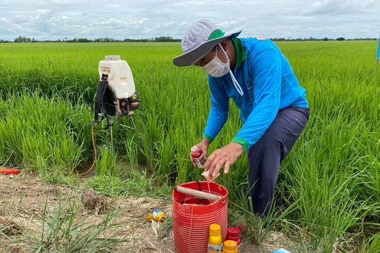 Giá phân bón hôm nay 27/03/2026: Ure, NPK, kali ổn định trên toàn quốc