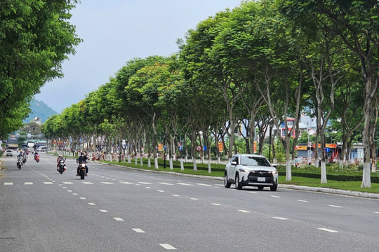 Đường phố nhiều tán cây
