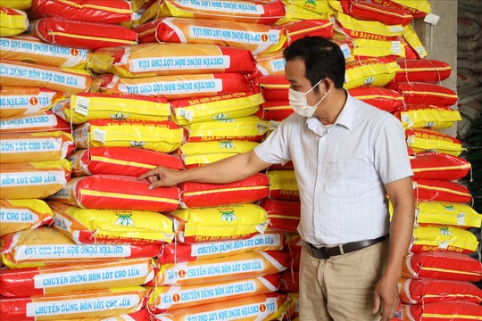 Giá phân bón hôm nay 28/03/2026: Ure, NPK, Kali ổn định trên cả nước