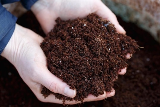 Giá phân bón hôm nay 31/03/2026: Ure, NPK, kali ổn định trên toàn quốc