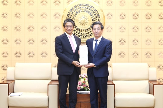 Thúc đẩy hợp tác và đầu tư giữa Đà Nẵng với các doanh nghiệp, địa phương Nhật Bản