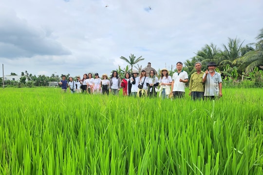 Đà Nẵng triển khai giải pháp phát triển nông nghiệp phát thải thấp