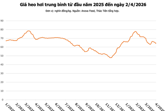 Giá heo hơi hôm nay 2/4: Miền Bắc tăng tới 2.000 đồng/kg, miền Nam đạt 68.000 đồng