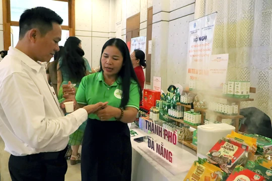 Đà Nẵng tăng cường kết nối giao thương với Cần Thơ
