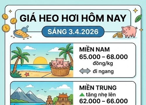 Giá heo hơi hôm nay 3/4: Miền Bắc và miền Trung phục hồi, mức cao nhất 68.000 đồng/kg