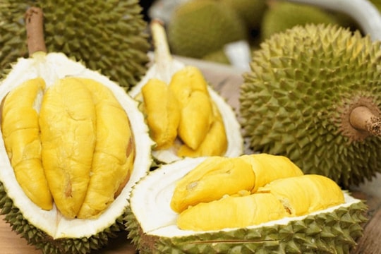 Giá sầu riêng 3/4: Ổn định, cao nhất 90.000 đồng/kg