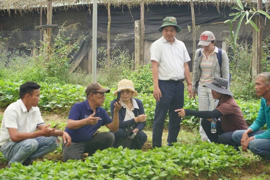 Thúc đẩy ứng dụng công nghệ sinh học