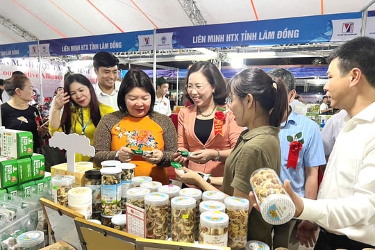 Đồng hành cùng sự phát triển của thành phố Đà Nẵng
