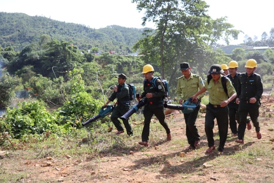 Chủ động phòng chống cháy rừng mùa nắng nóng