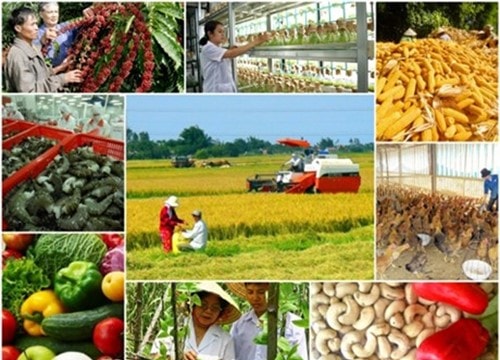 Xuất khẩu nông sản quý I/2026: Kim ngạch đạt 16,69 tỷ USD dù giá nhiều mặt hàng giảm sâu