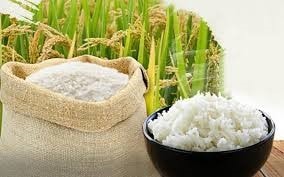 Giá lúa gạo ngày 6/4: Thị trường đi ngang, lúa OM 18 giữ mức 5.800 đồng/kg