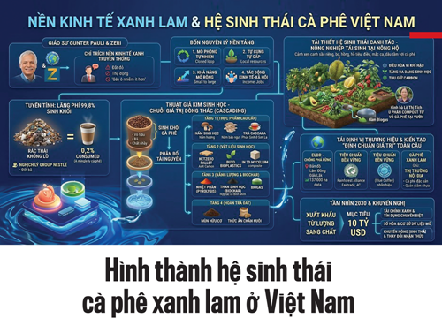 Ngành cà phê Việt Nam chuyển mình sang hệ sinh thái xanh lam, xuất khẩu đạt 8,92 tỷ USD