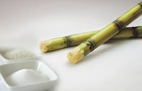Ấn Độ kêu gọi tăng tỷ lệ pha trộn ethanol trong xăng nhằm củng cố an ninh năng lượng
