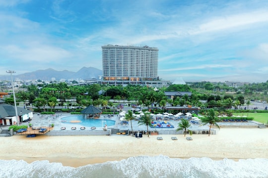 Da Nang City promotes cooperation with Japanese partners