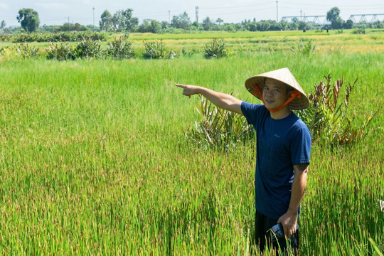 “Quả ngọt” đại đoàn kết ở thôn Tịch Tây