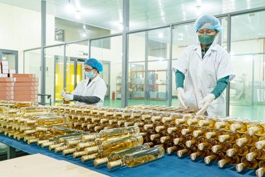 Giữ nhịp kinh doanh khi chi phí nhiên liệu biến động
