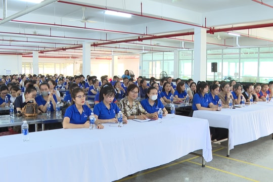 Liên đoàn Lao động Đà Nẵng tuyên truyền pháp luật cho đoàn viên, người lao động