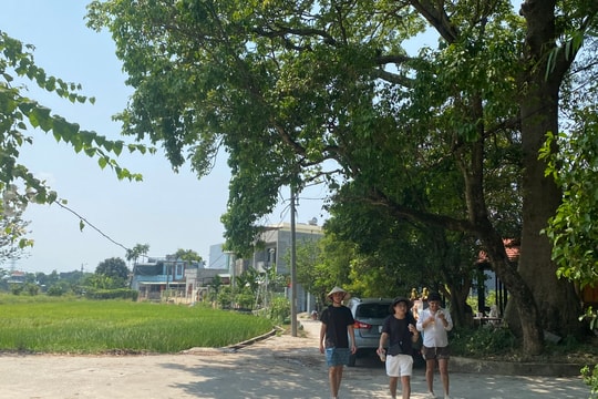 Chờ hồi sinh làng cổ Phong Nam