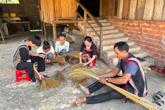 Liên kết nông dân mở hướng tái cấu trúc sản xuất nông nghiệp: “5 tự”, “5 cùng”