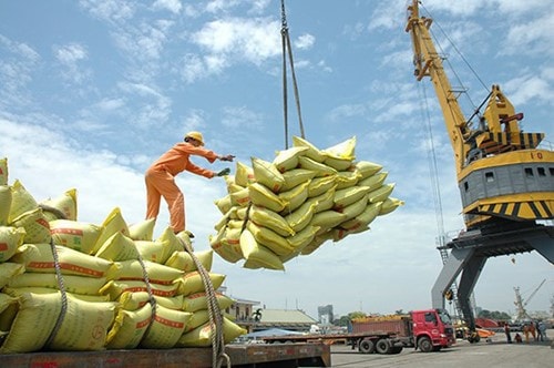 Xuất khẩu gạo Việt Nam đạt 1,1 tỷ USD quý I/2026, giá bán duy trì ổn định