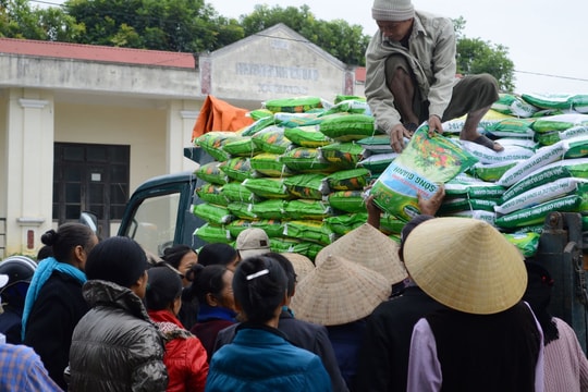 Giá phân bón hôm nay 10/4/2026: Duy trì mức cao