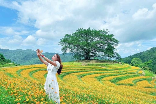 Sapa thu nhỏ