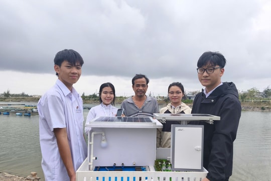 Sáng tạo trẻ, giá trị thật