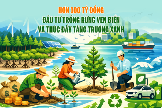 Hơn 100 tỷ đồng đầu tư trồng rừng ven biển và thúc đẩy tăng trưởng xanh