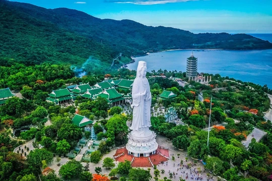 Hơn 106,4 tỷ đồng chi cho bảo vệ và phát triển rừng ven biển Đà Nẵng giai đoạn 2026 - 2030