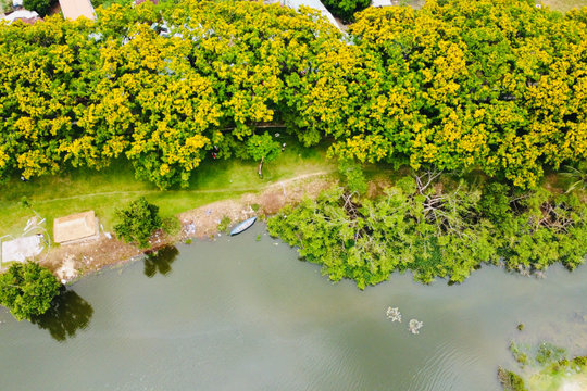 Huong Tra Sua Flower Festival 2026 scheduled for April 24 - 26
