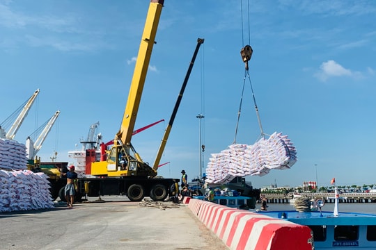 Giá phân bón hôm nay 13/4/2026: DAP, Ure, NPK, Kali và Lân ổn