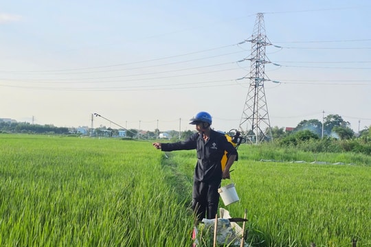 Sản xuất xanh, an toàn trong nông nghiệp