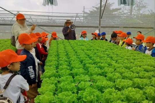 Động lực từ chuyển đổi số
