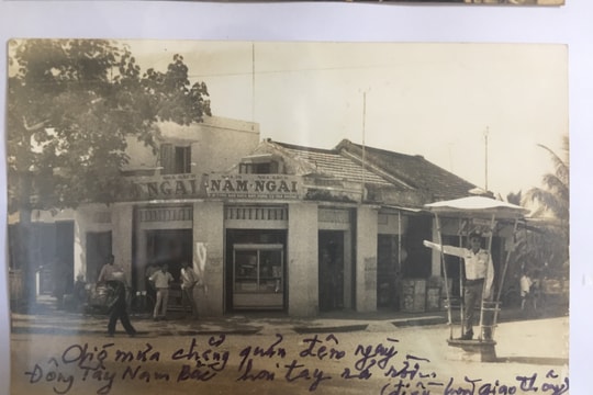 Gió còn ru trên vết chim bay