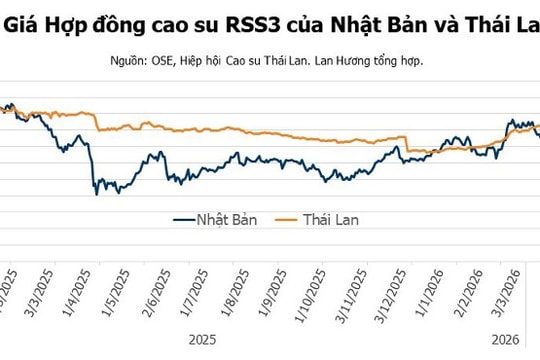 Giá cao su hôm nay 16/4: Giá kỳ hạn giằng co, thị trường nội địa ổn định