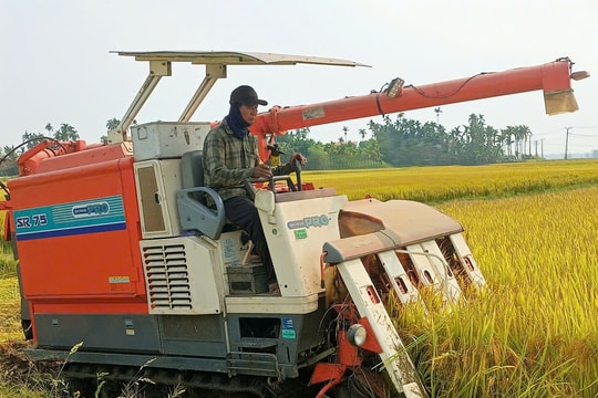 Được mùa lúa, nông dân vẫn lo