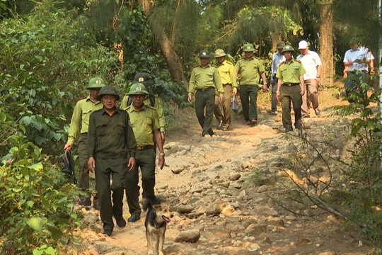 Kiểm tra công tác phòng cháy, chữa cháy rừng khu vực Nam đèo Hải Vân