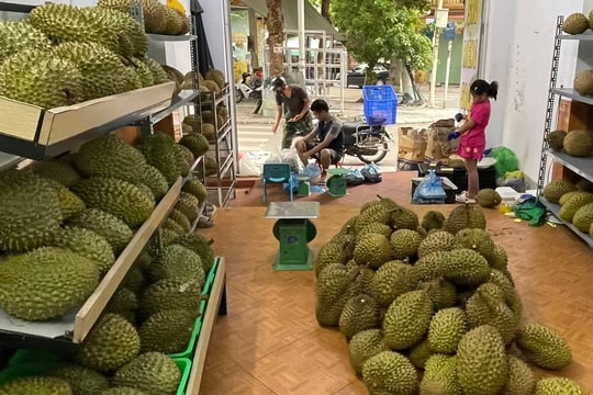 Giá sầu riêng hôm nay 17/4/2026: RI6 cao nhất 60.000 đ/kg