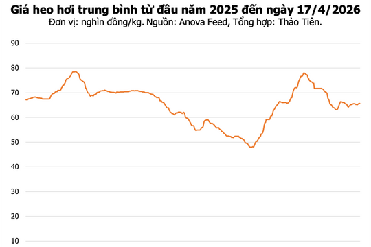 Giá heo hơi ngày 17/4/2026 duy trì ổn định, cao nhất đạt 69.000 đồng/kg