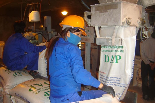 Giá phân bón hôm nay 17/4/2026: Ure Cà Mau 675.000 đồng, Thái Lan cạn dự trữ