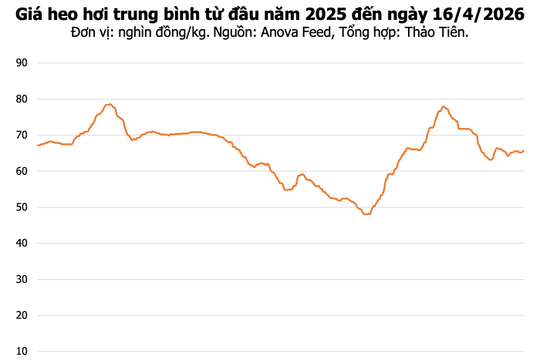 Giá heo hơi hôm nay 16/4/2026: Miền Nam tăng lên 69.000 đồng/kg