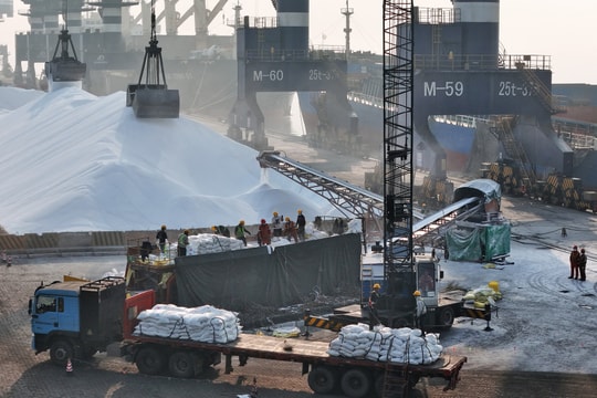 Giá phân bón hôm nay 21/4/2026 ổn định