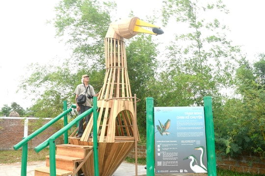 AI-powered bird-listening stations launched in Da Nang