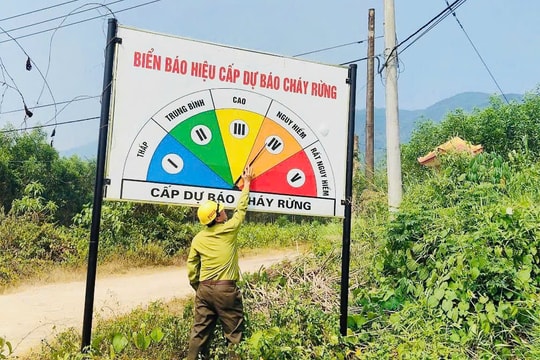 Chủ động phòng chống cháy rừng