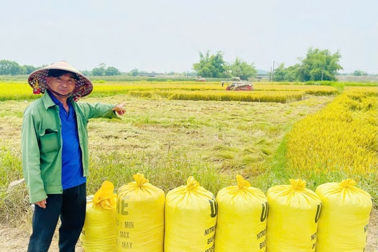 “Điểm sáng” trong quản lý dịch vụ máy gặt